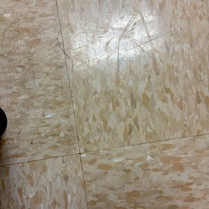 Meet your Posher, Lindsay